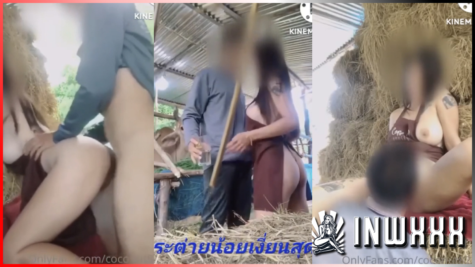 แหกหีกลางแจ้ง แตกใน เย็ดโชว์ เย็ดหีแรง เย็ดหีสด